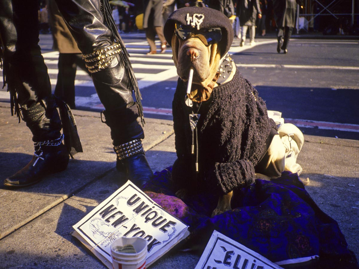New York in 80s New York in 80s