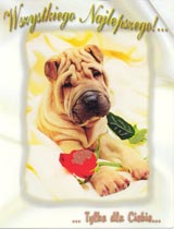Postcard - Dog